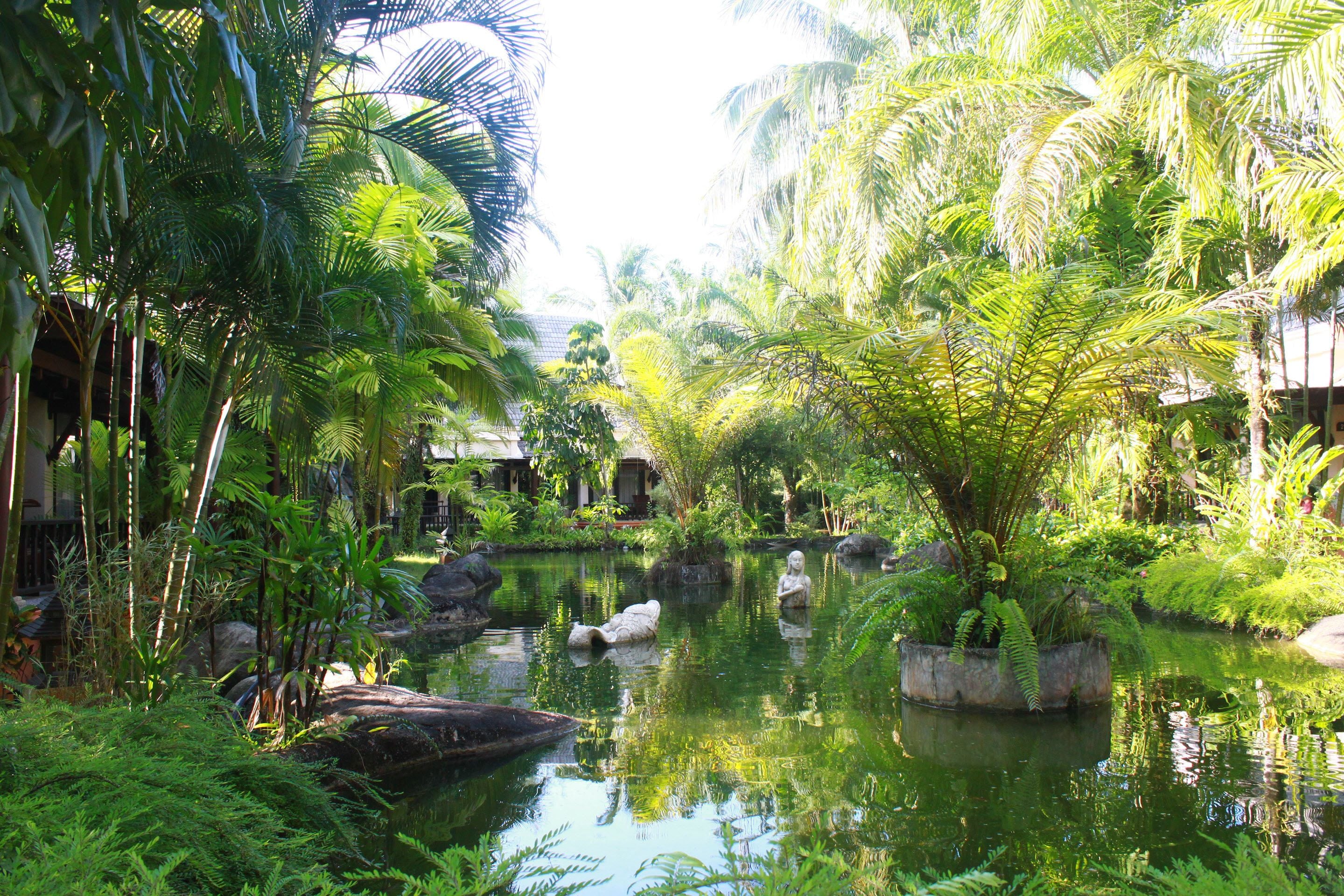 إطلالة على الحديقة