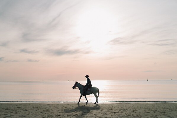 Una persona montando a caballo en una playa al atardecer.