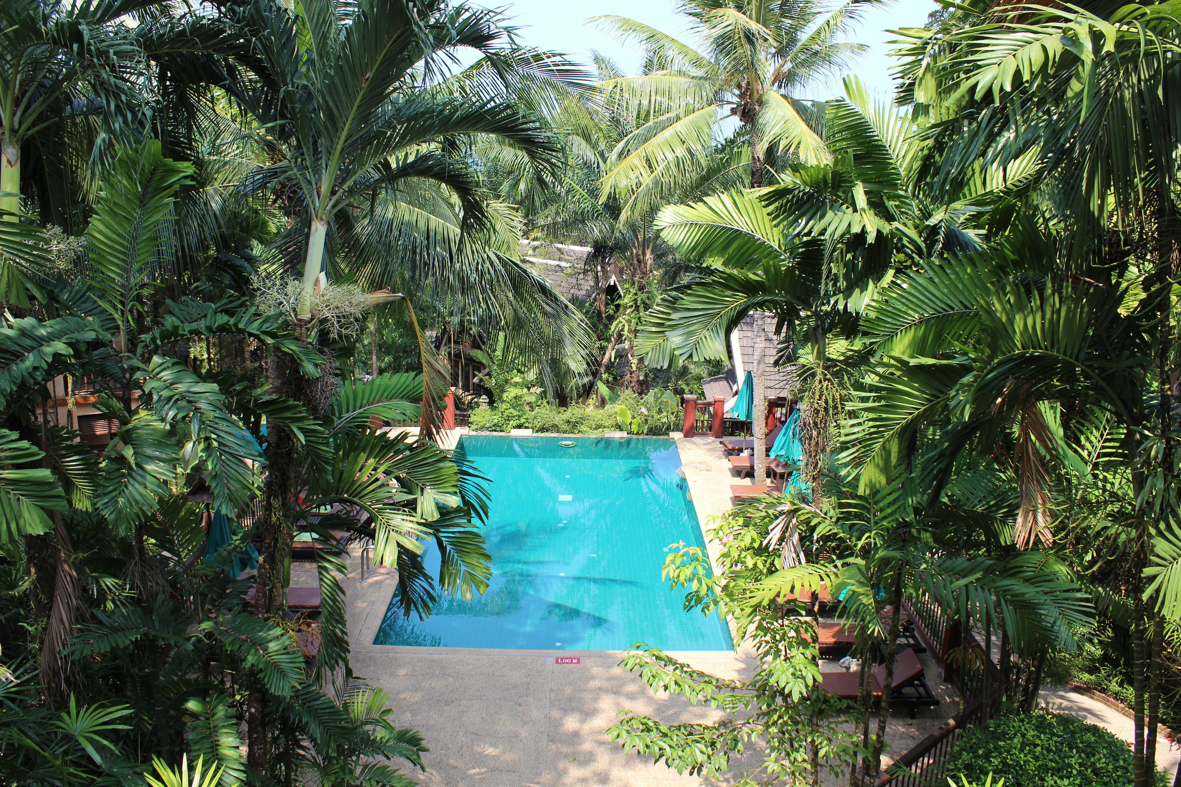 Una piscina rodeada de exuberante vegetación tropical.