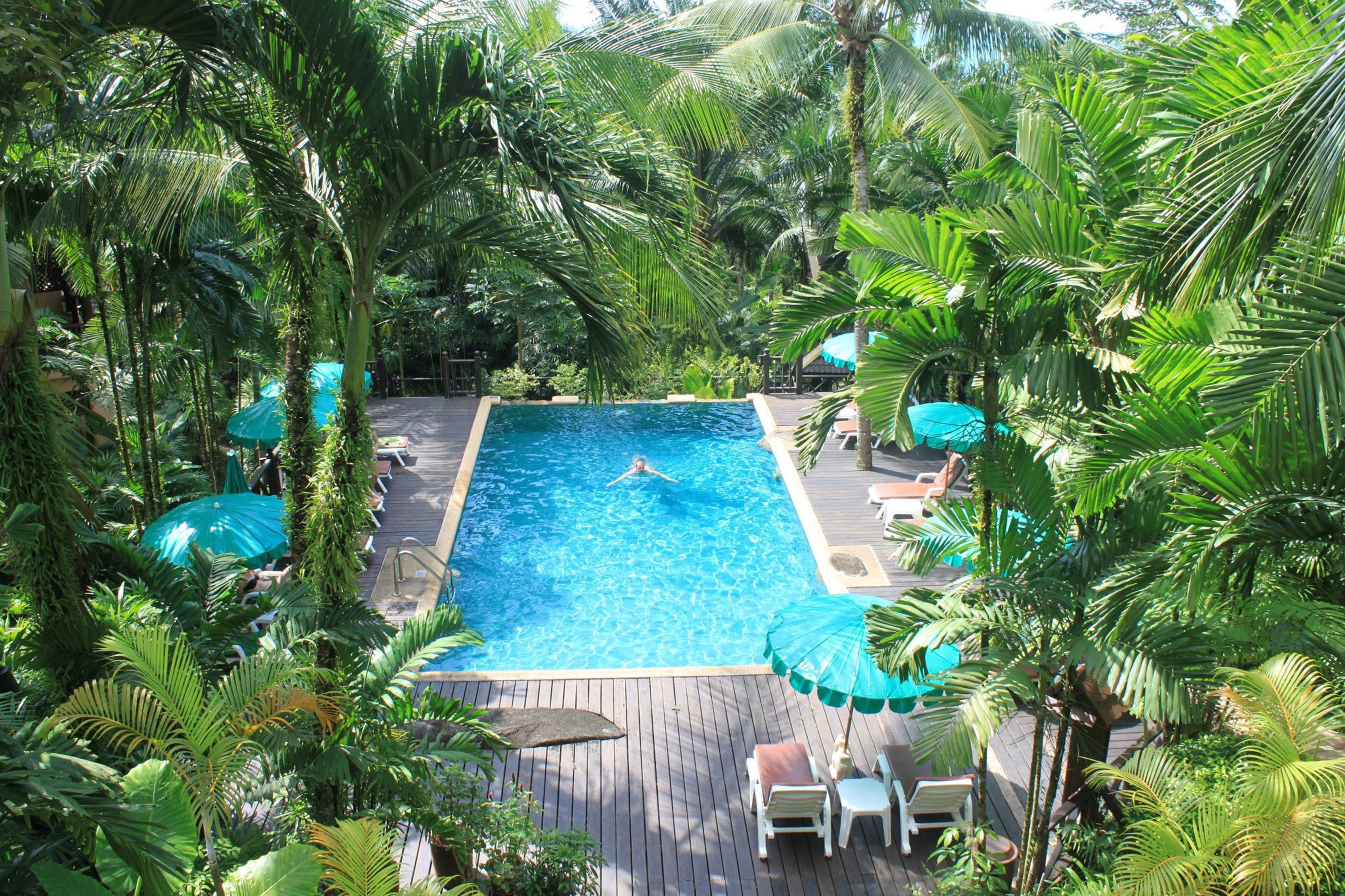 A square pool surrounded by lush greenery, with lounge chairs and umbrellas.