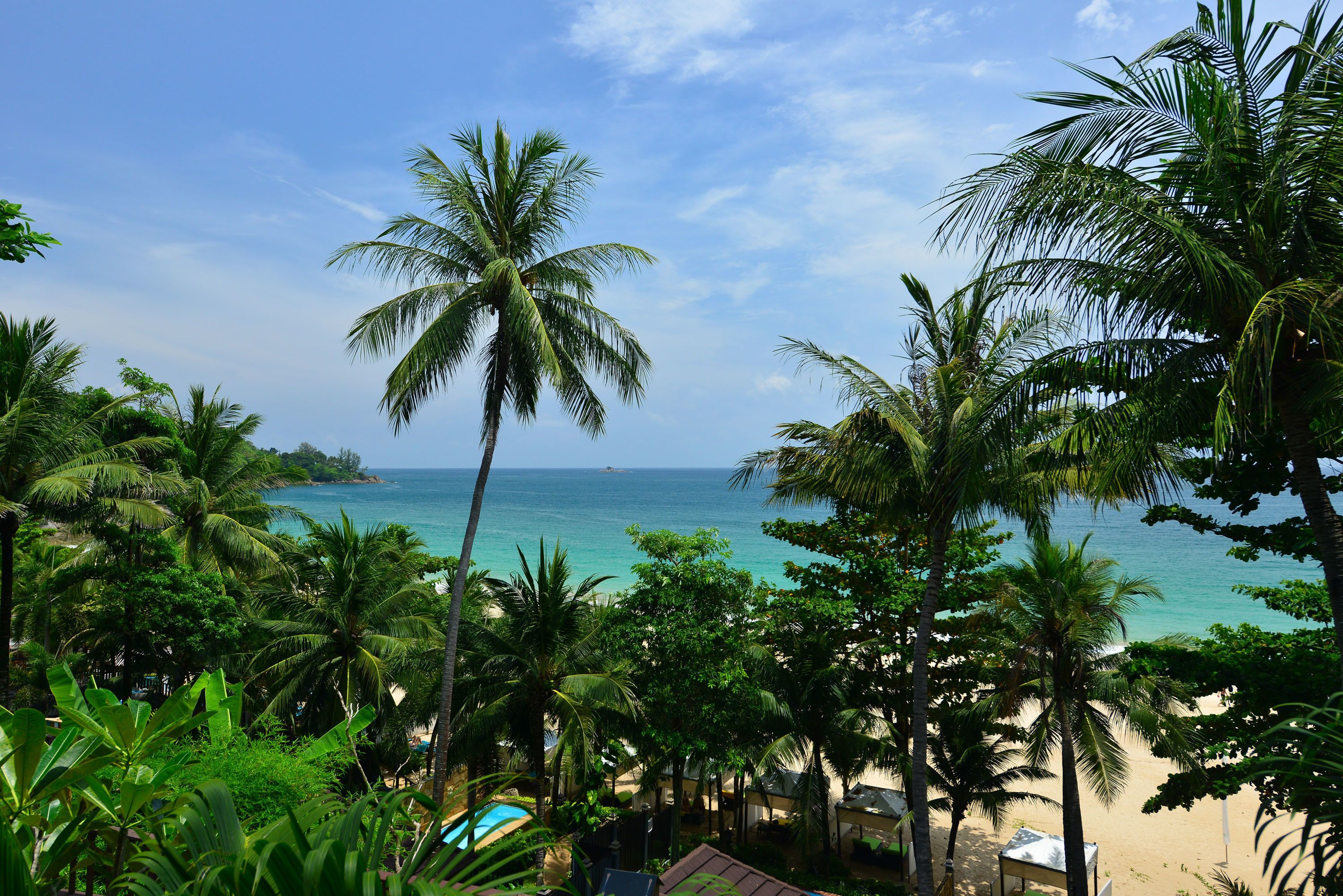 Una playa tropical con palmeras y una vista despejada del océano.