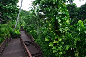 Jardines del alojamiento