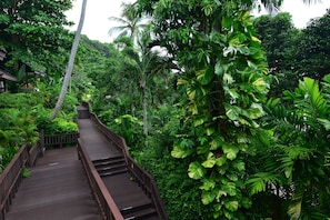 Property grounds - Andaman White Beach Resort (Sa Khu)