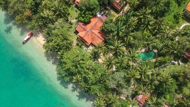 Vista aérea de una propiedad costera con piscina, rodeada de exuberante vegetación y palmeras.