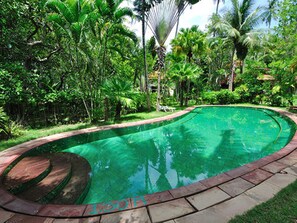 Outdoor pool, sun loungers