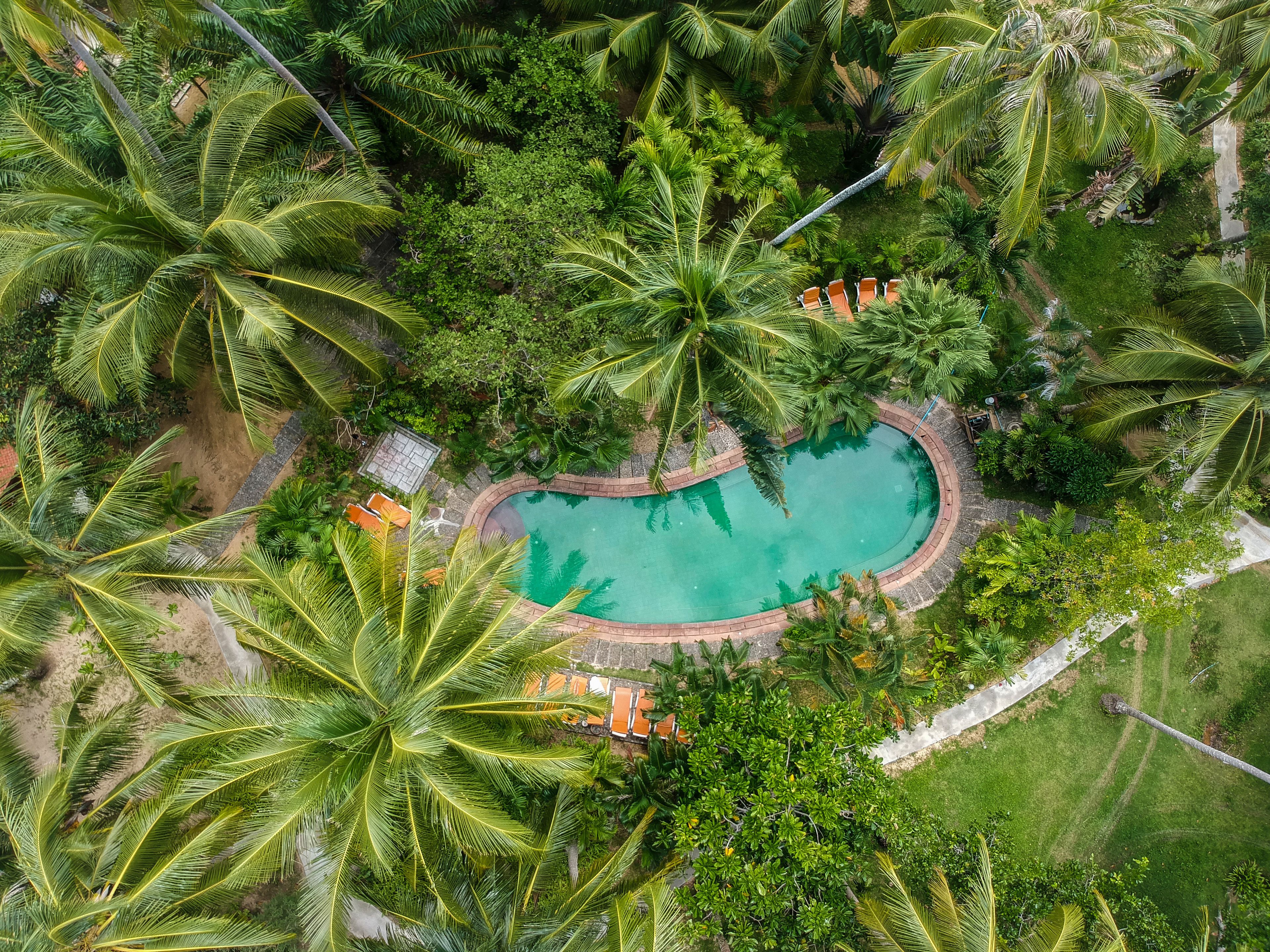 室外泳池；躺椅