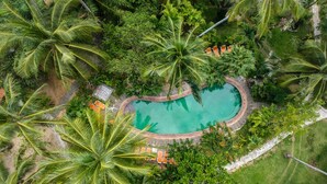 Vista aérea de un complejo turístico con piscina rodeada de exuberante vegetación y palmeras.