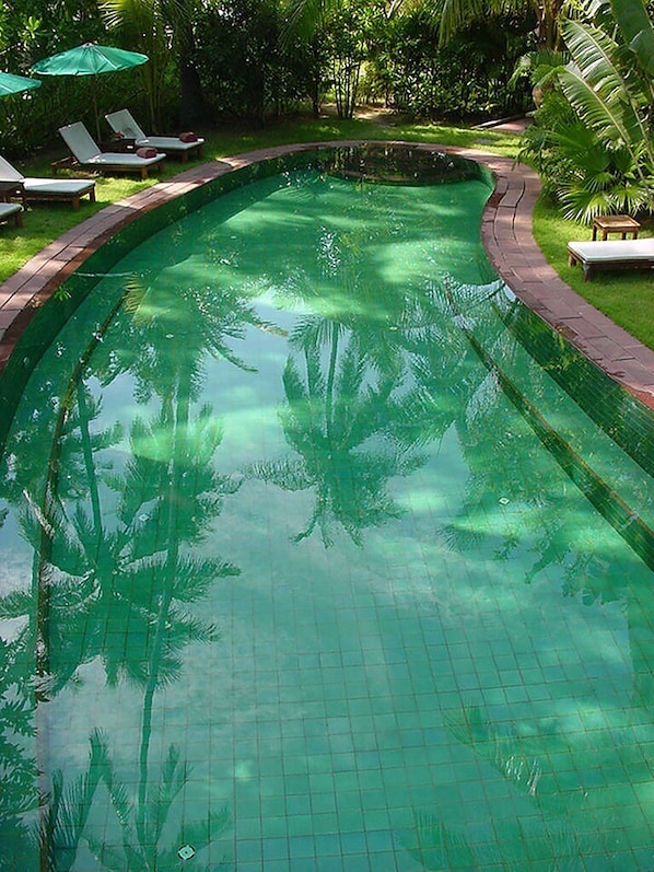 Outdoor pool, pool loungers