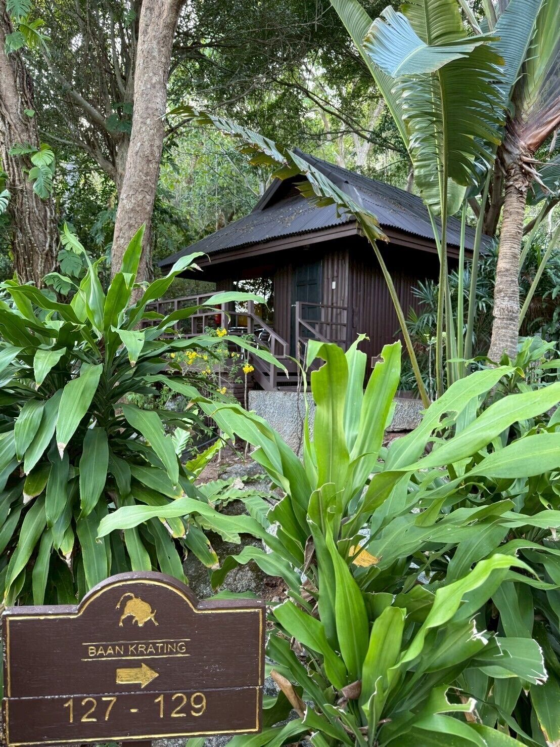 A wooden house with a thatched roof, surrounded by lush greenery and a sign indicating 'BAAN KRATING 127-129'.