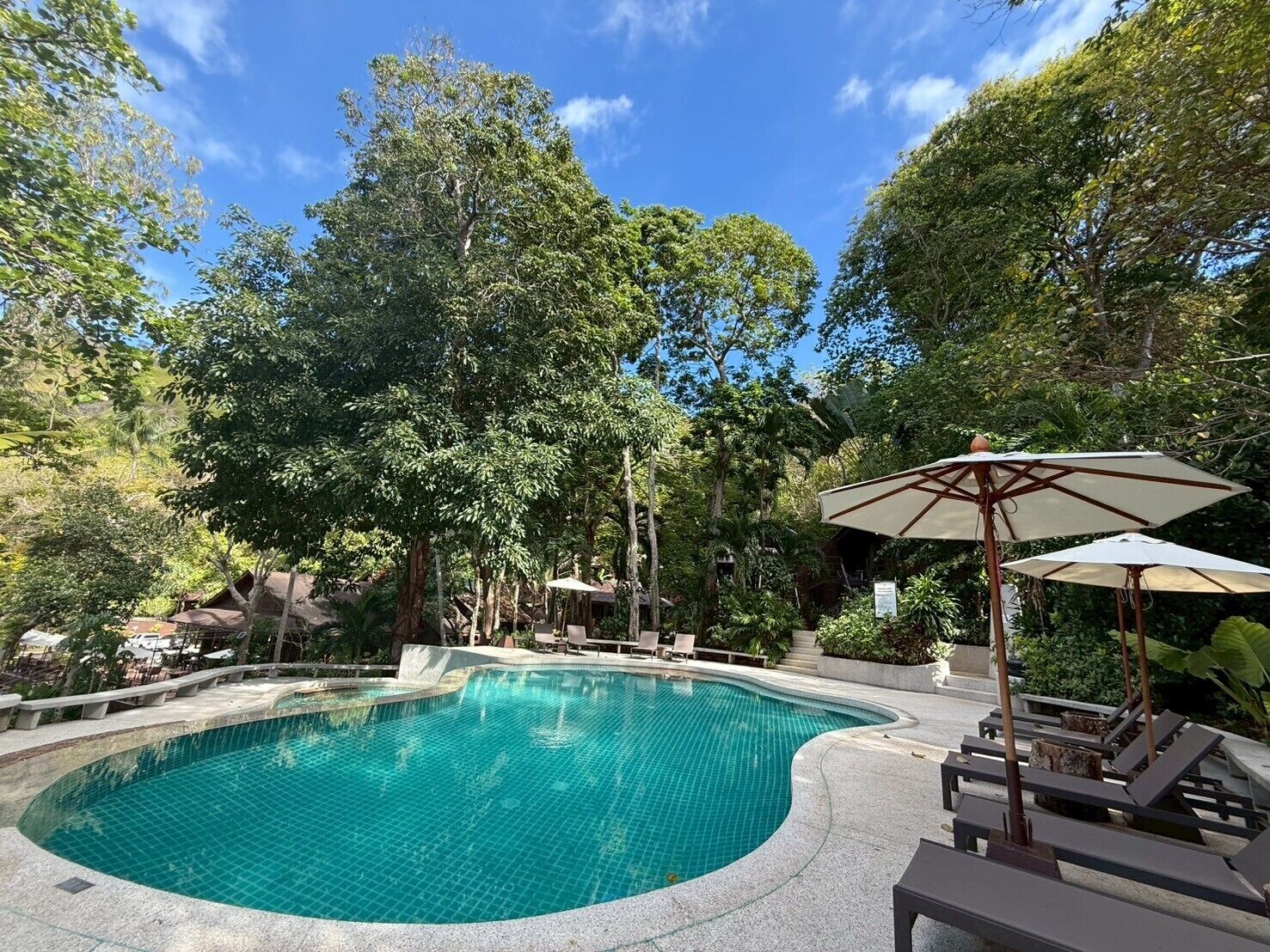 Una piscina rodeada de árboles y sillas de descanso.