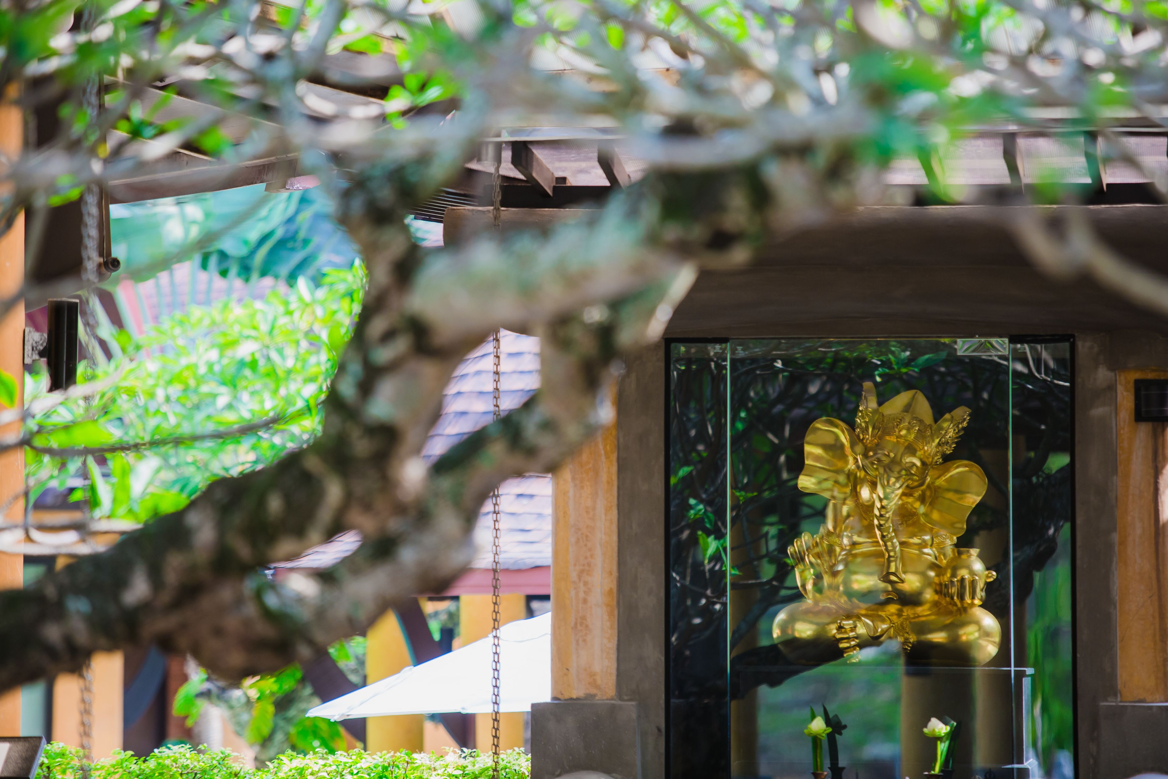 Photo - The Village Resort - SHA Plus