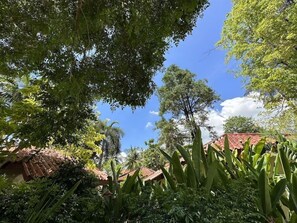 Property grounds - Hyton Leelavadee (Patong)