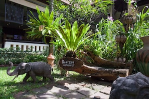 Jardin