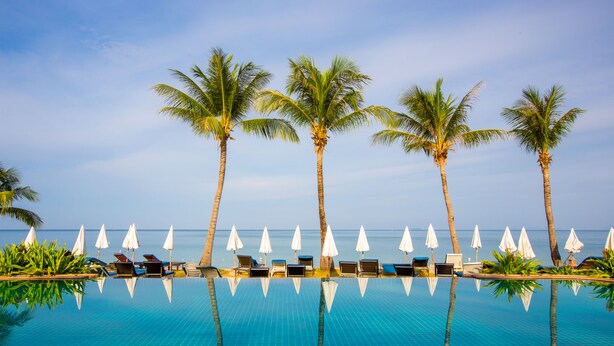 Un espace aménagé au bord de la piscine, avec des chaises longues et des parasols, des palmiers et une vue sur l’océan.