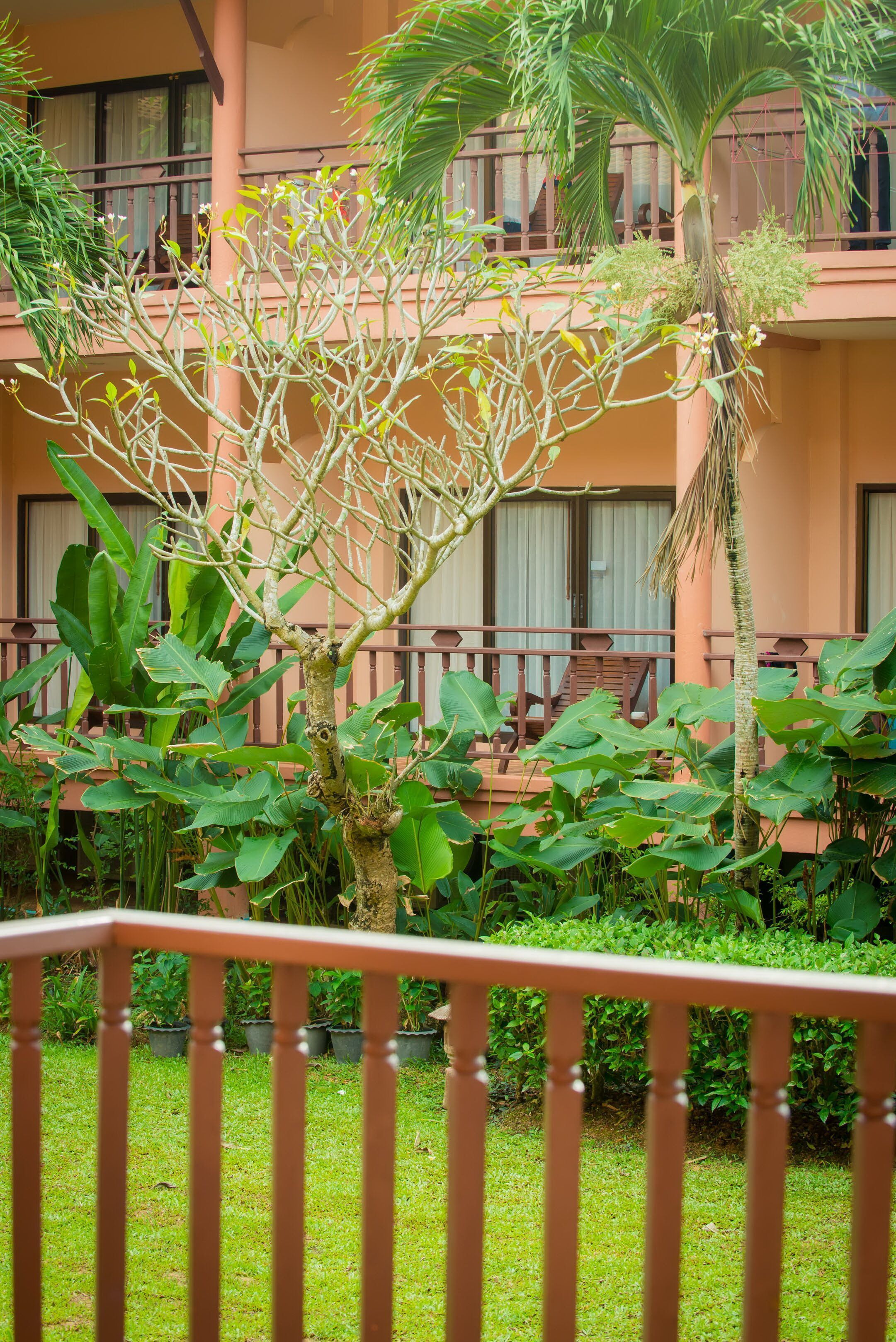 family room, terrace | view from room