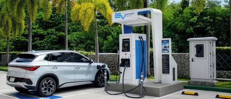 A silver electric vehicle charging at a station with a blue parking space, surrounded by palm trees and a stone wall.