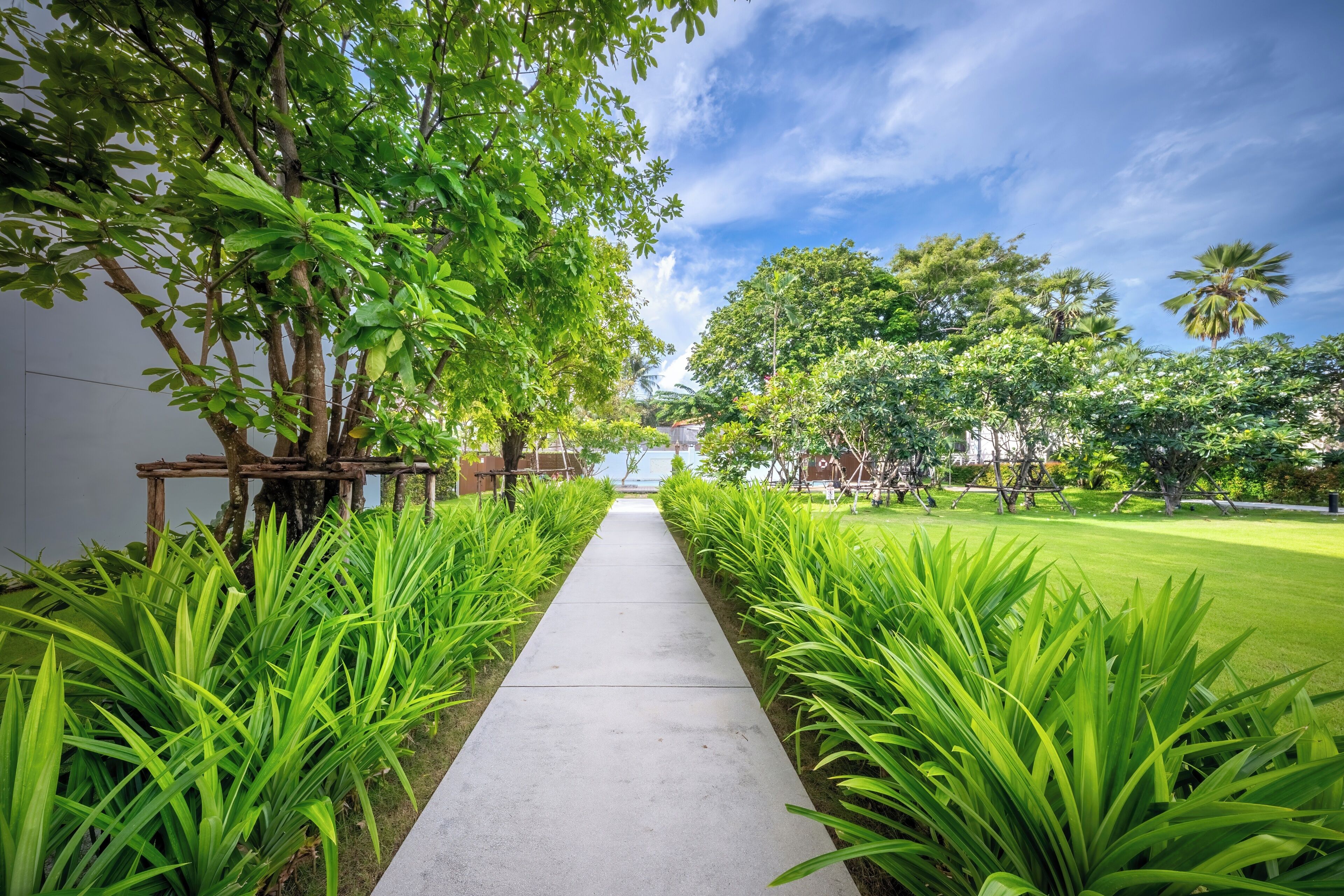 A pathway flanked by lush green plants and trees, leading to a building with a clear sky above.