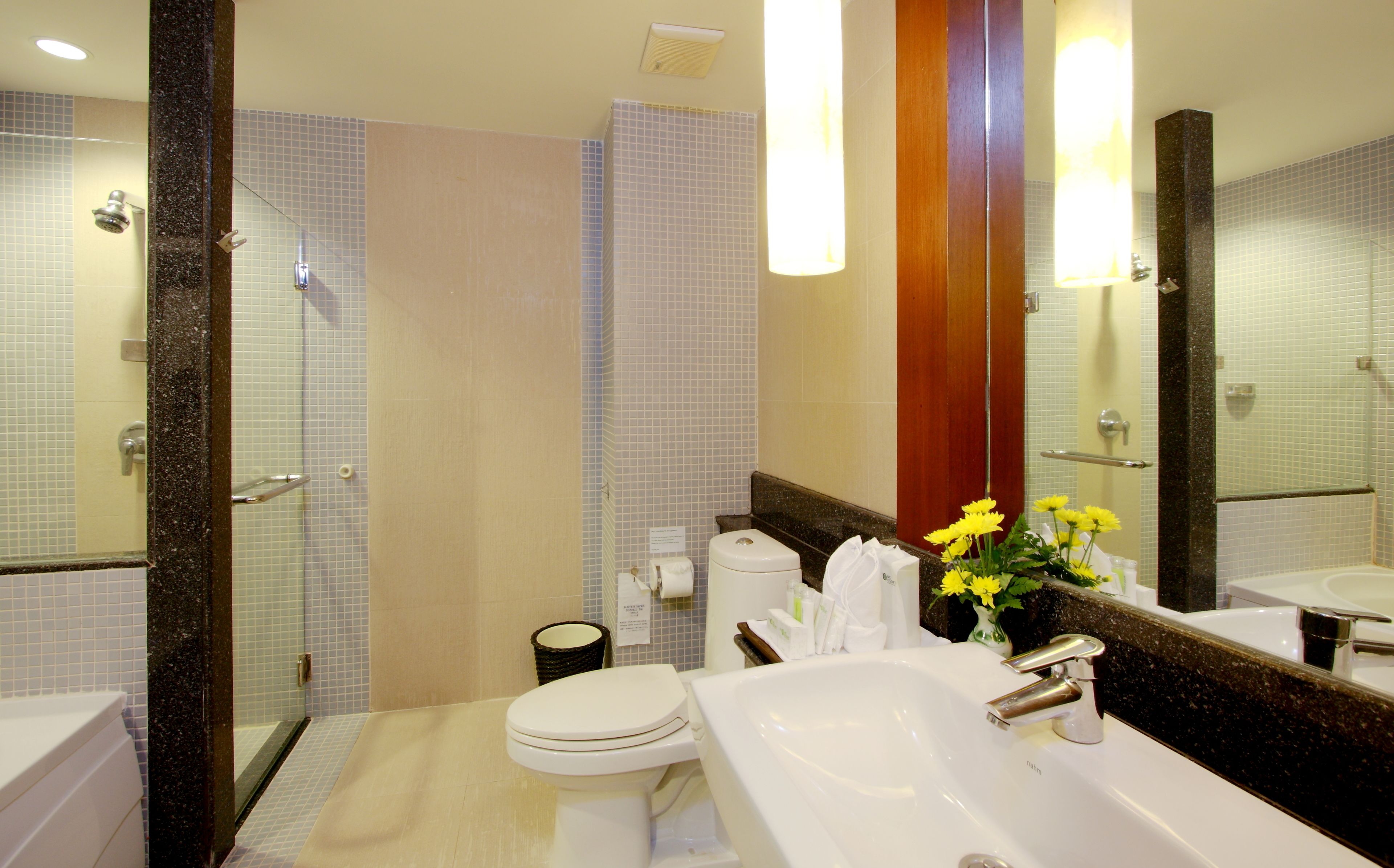 premium deluxe room  | bathroom | free toiletries, hair dryer, bathrobes, slippers