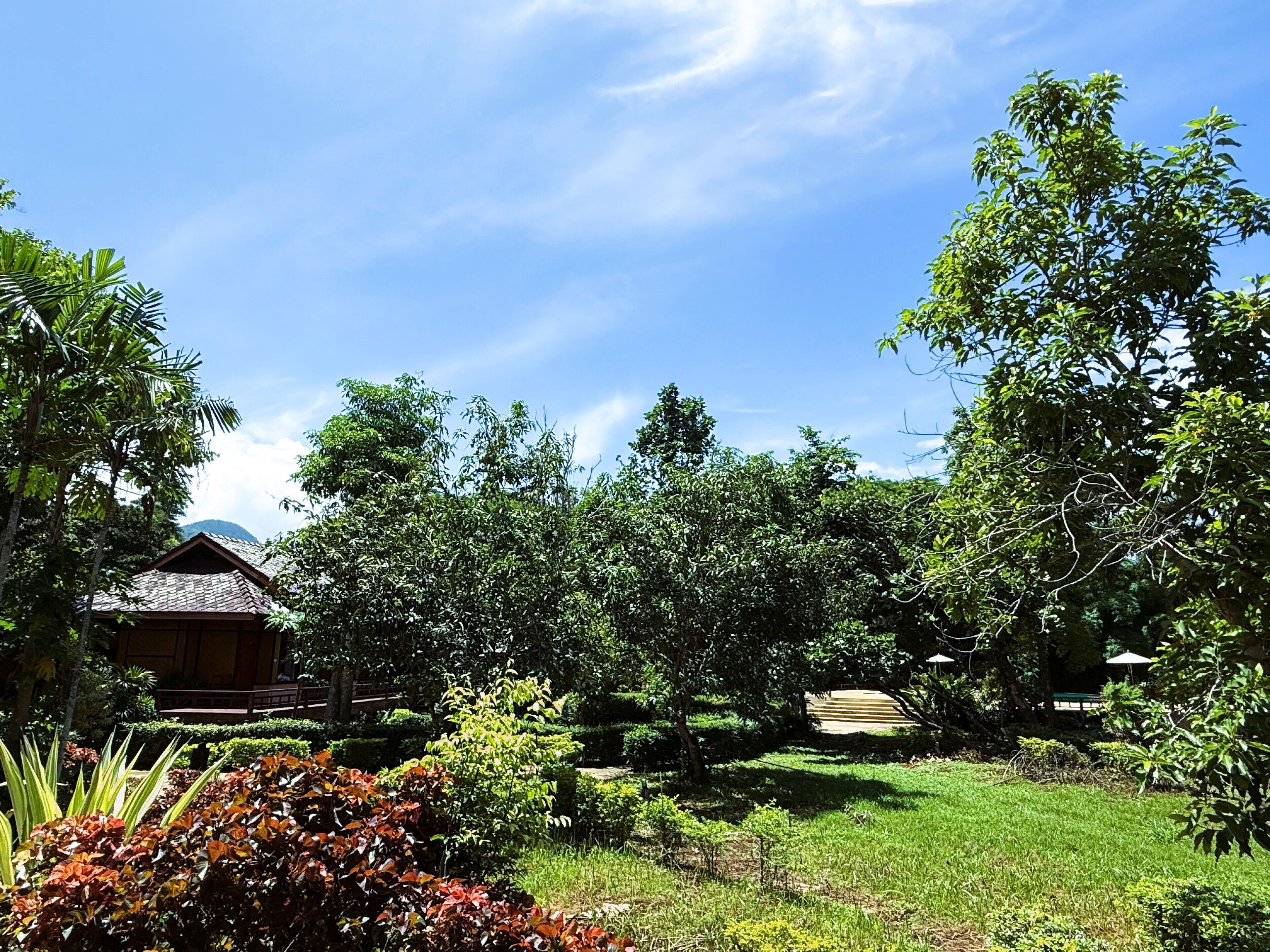 A lush garden with a wooden structure, surrounded by various trees and plants.