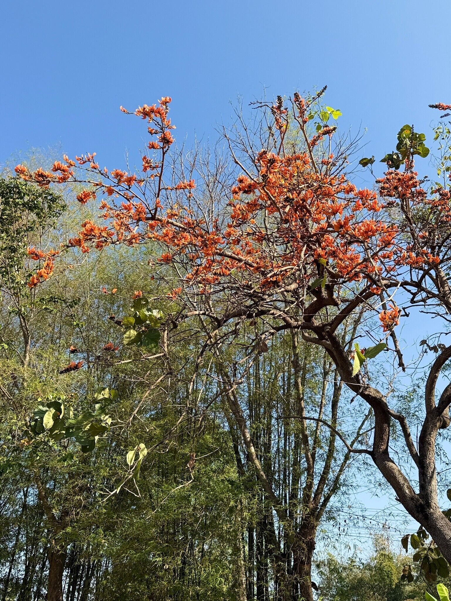 city view from property