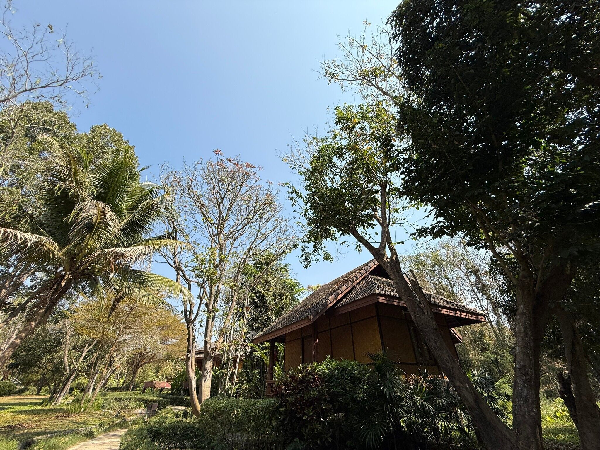 A traditional wooden structure surrounded by lush greenery and trees.