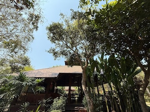 A wooden building with a tiled roof, surrounded by dense foliage and trees.