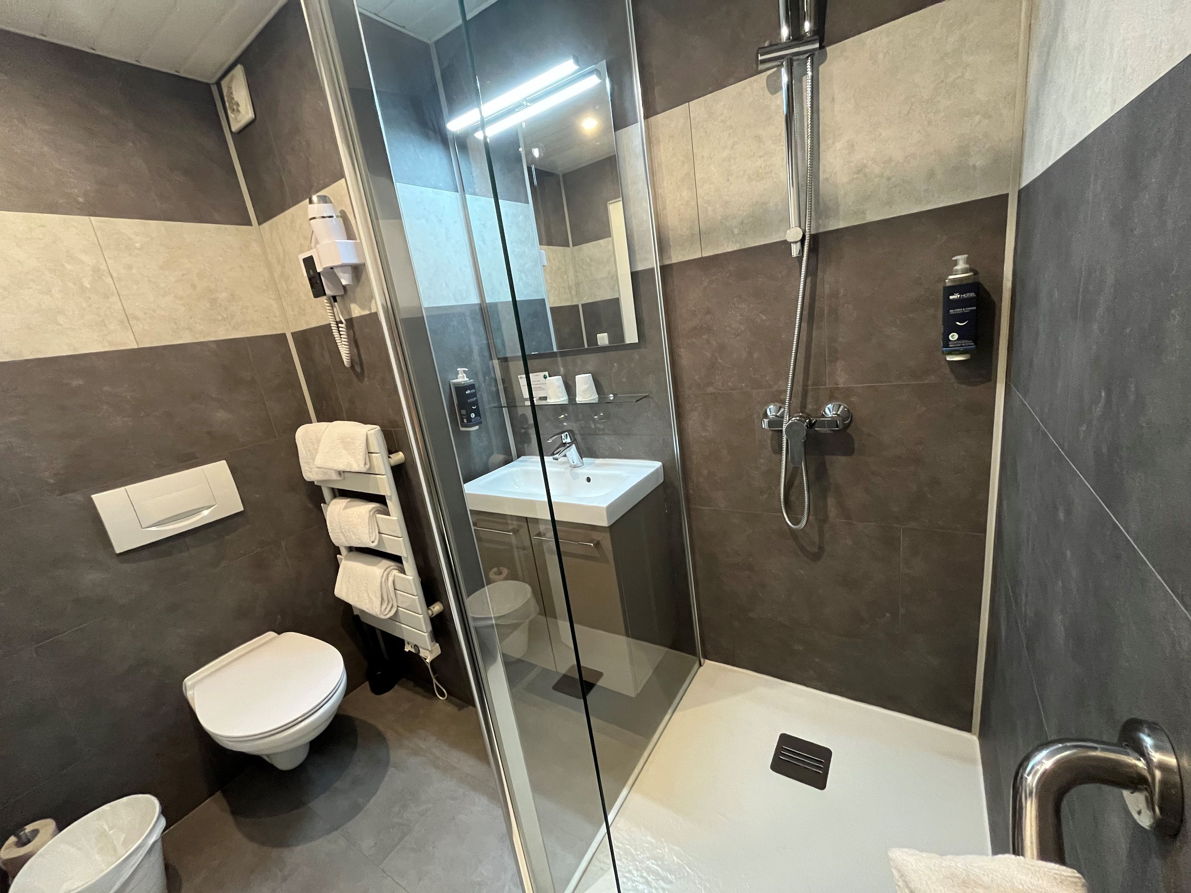 A modern bathroom with a glass-enclosed shower, a toilet, and a sink.