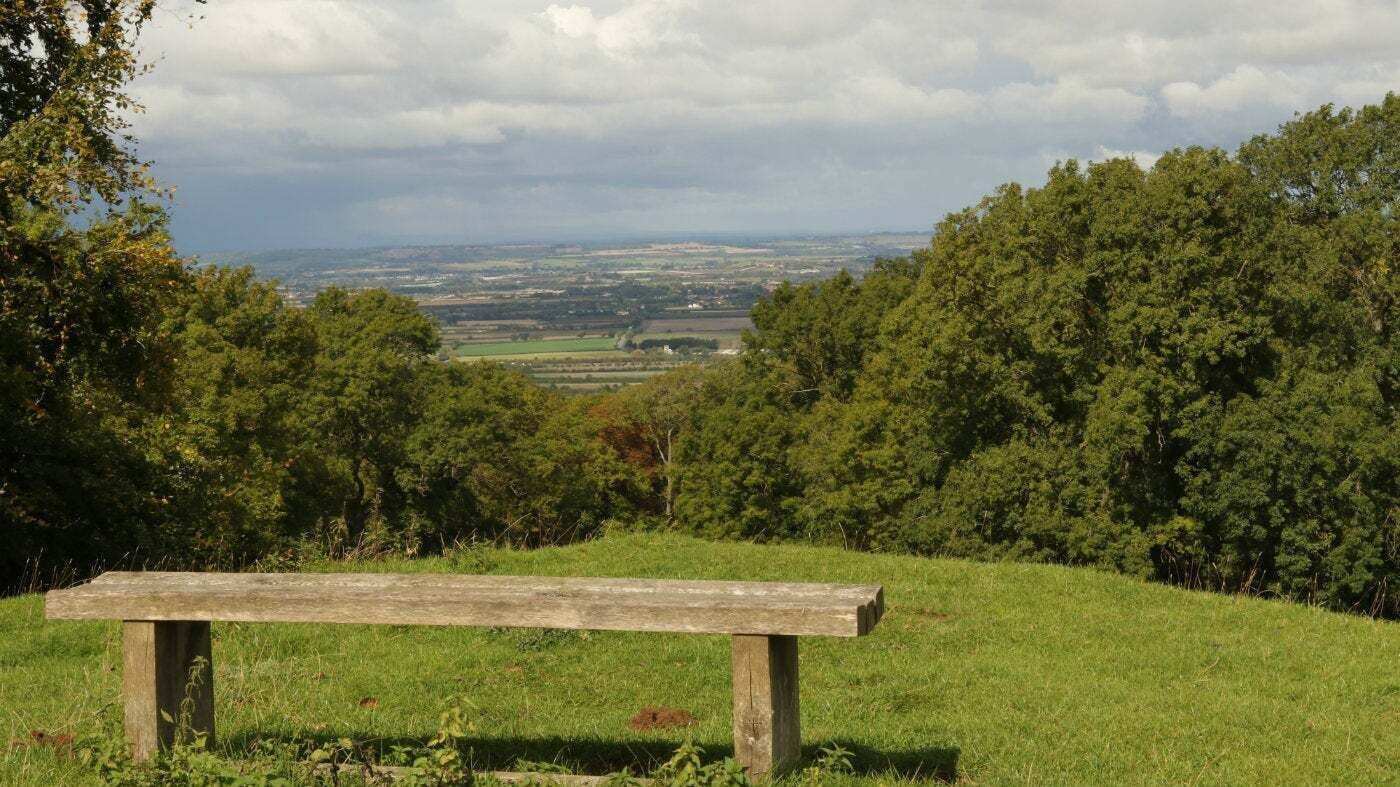 A wooden bench in a grassy field with a view of a distant landscape.