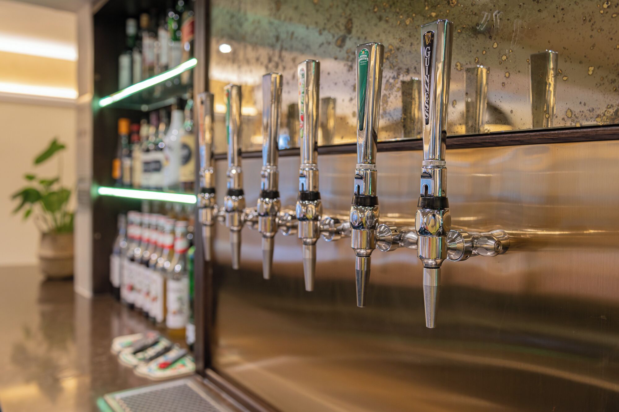 A bar with multiple taps, a counter with bottles, and a potted plant.