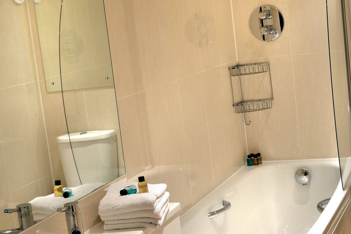 combined shower/bathtub, free toiletries, hair dryer, towels