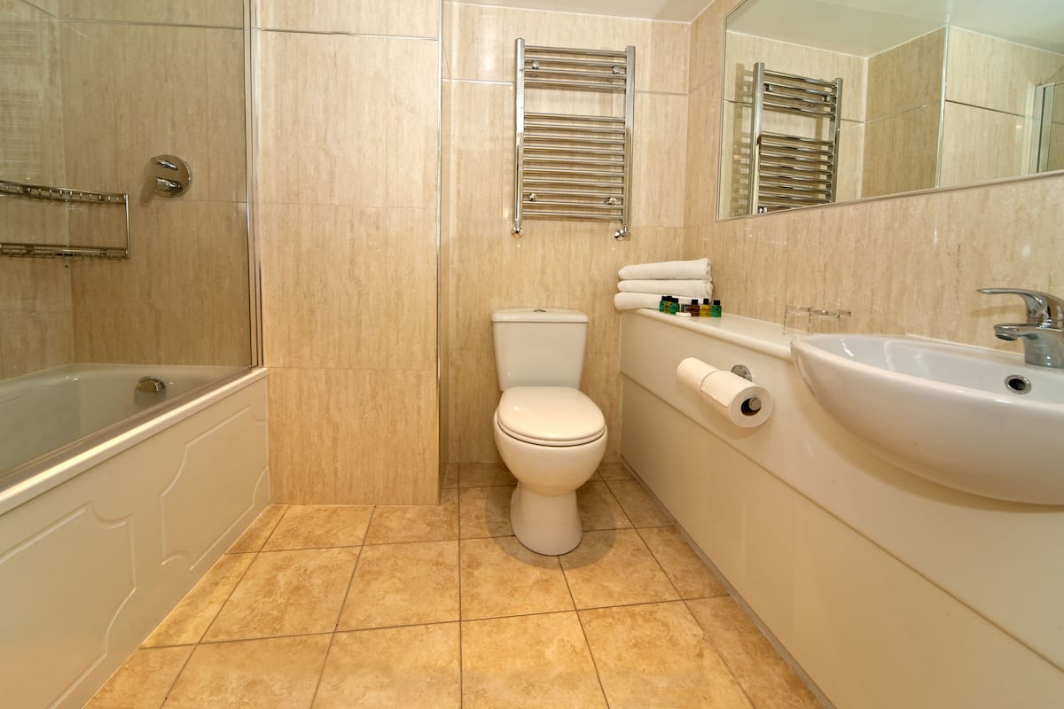 combined shower/bathtub, free toiletries, hair dryer, towels