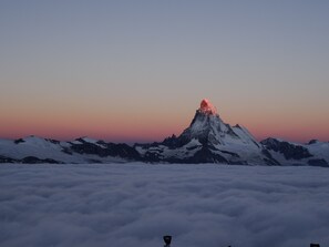 Vista desde la habitación