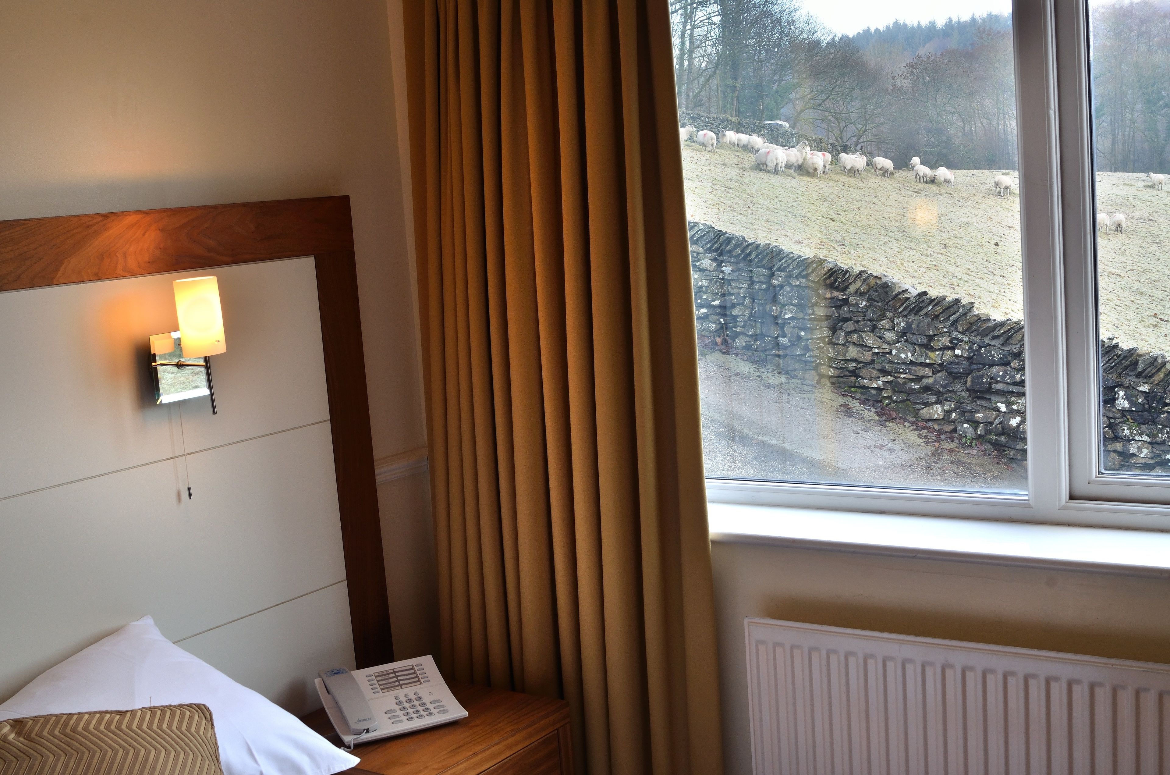 Ein Hotelzimmer mit Bett, Nachttisch mit Lampe und Blick auf ein Feld mit Schafen.
