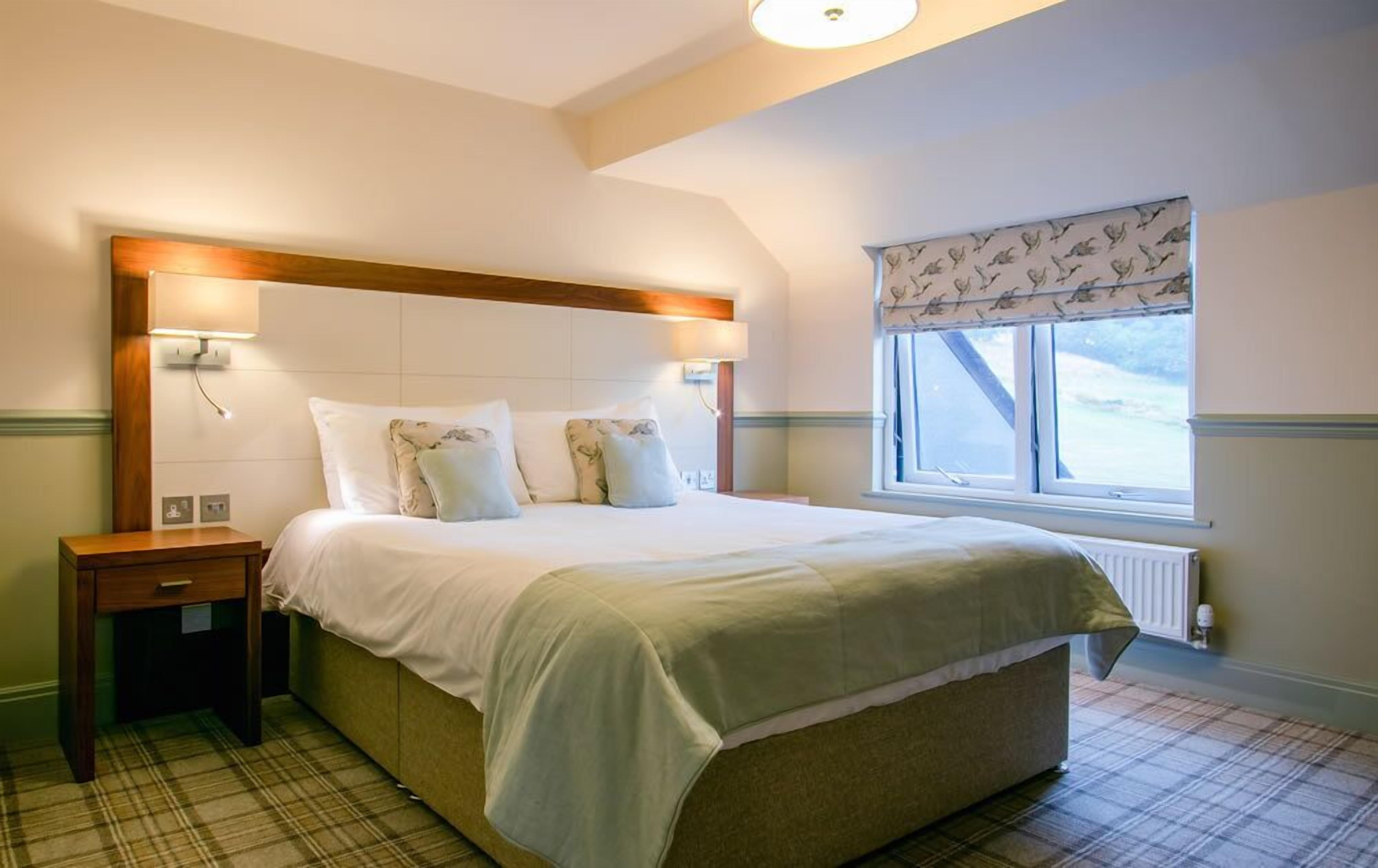 standard double room | 1 bedroom, individually decorated, desk, iron/ironing board