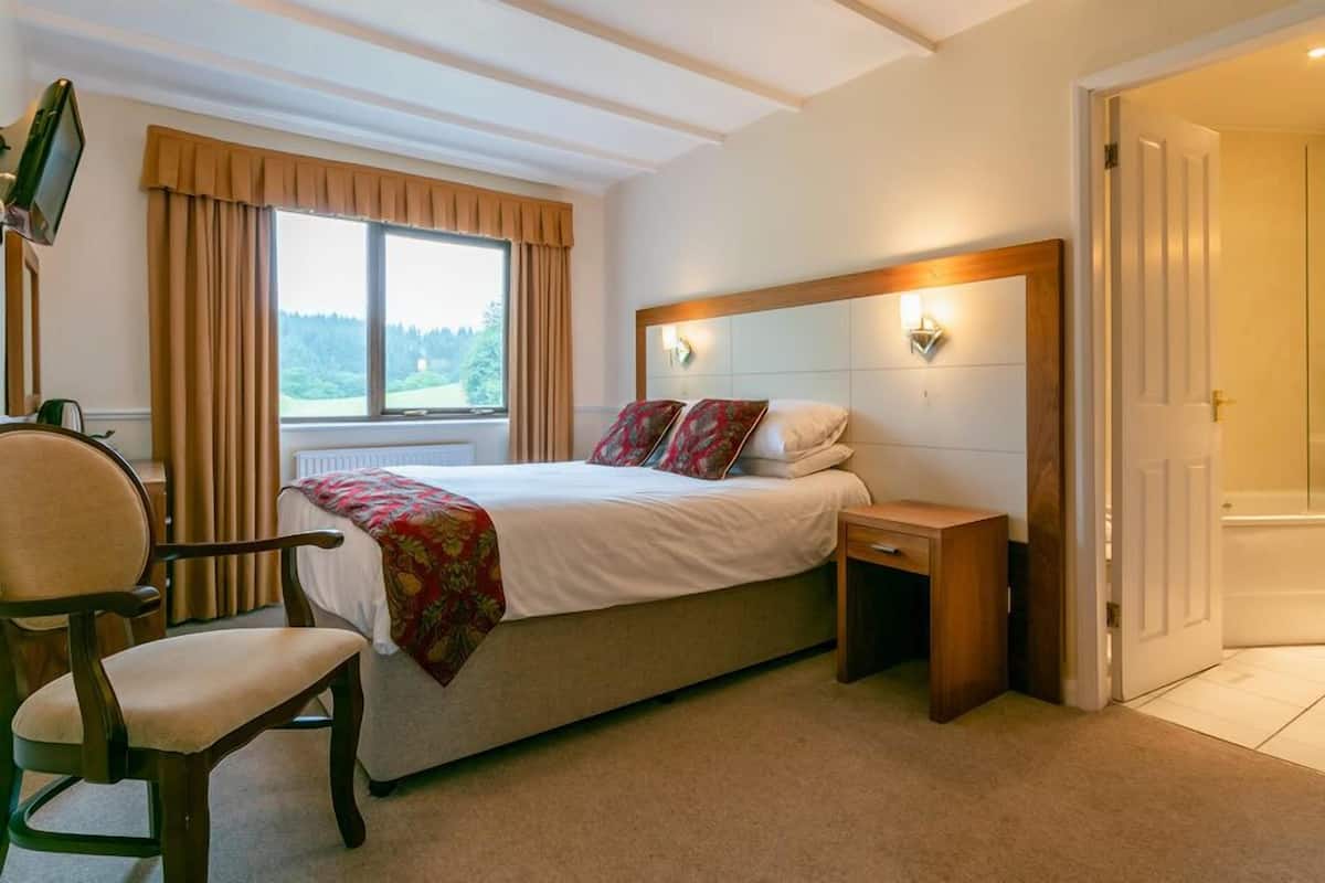 A bedroom with a bed, bedside table, chair, TV, and a view of a bathroom.