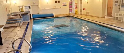En indendørs swimmingpool med krystalklart vand, et springbræt og en trappe ned til poolområdet.