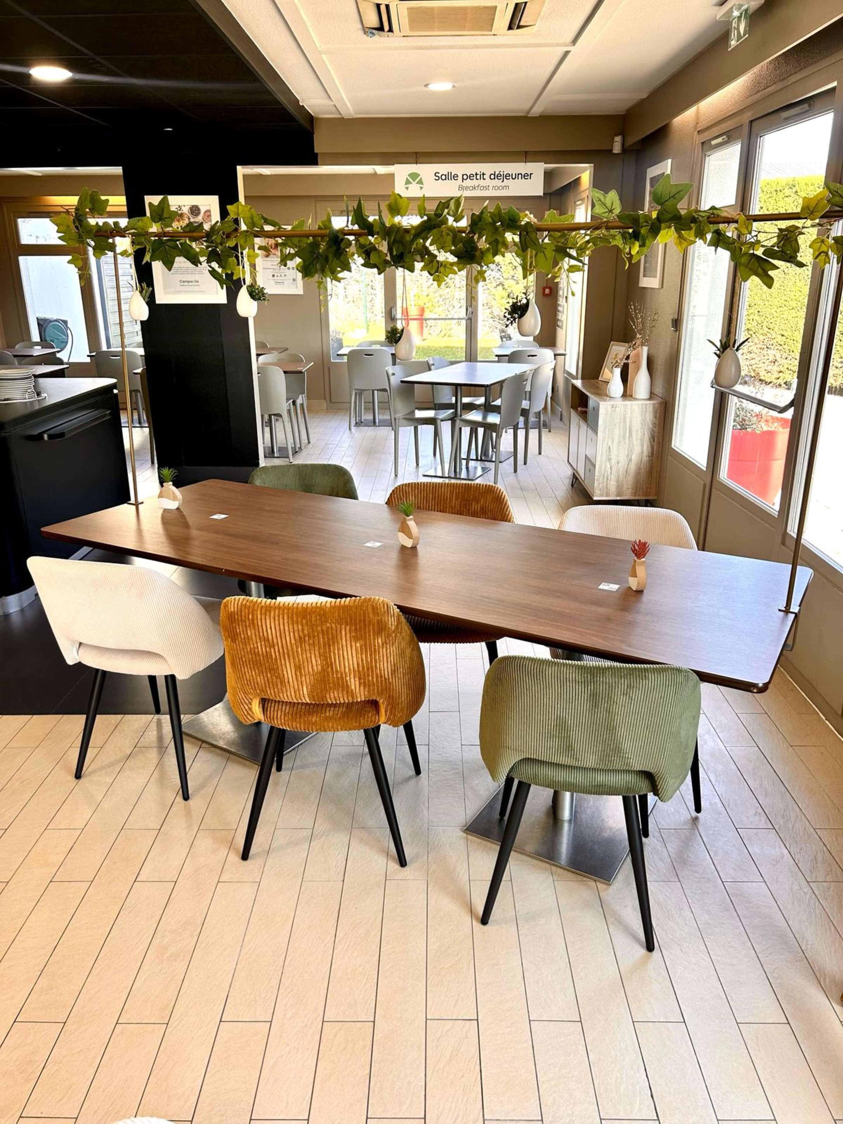 Une salle à manger où l’on prend le petit-déjeuner, avec une longue table, quatre chaises et une plante suspendue.