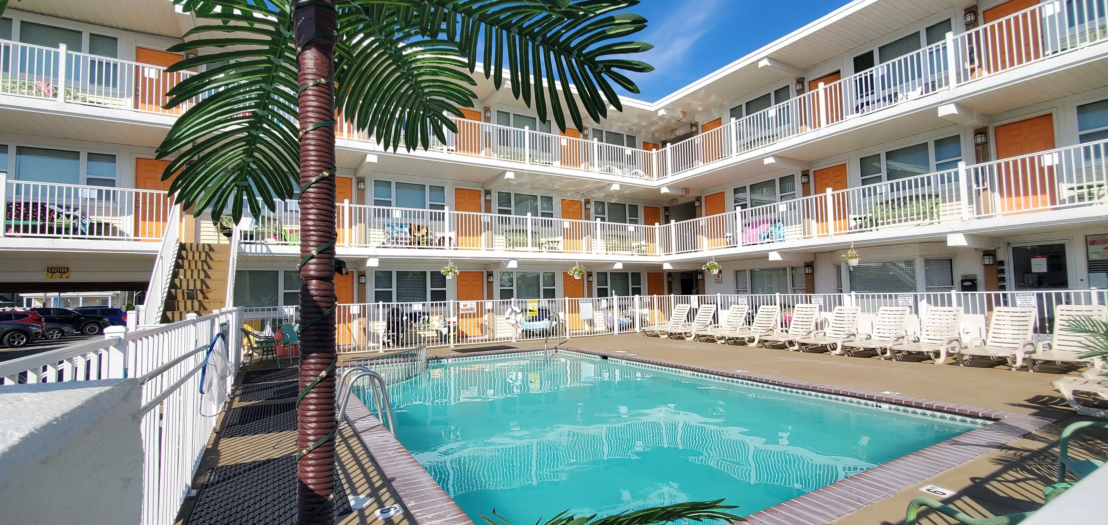 outdoor pool, pool loungers