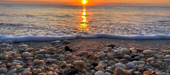 Esplanade Suites, a Sundance Vacations Property