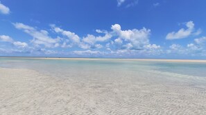 A beach with clear turquoise water and white sand. - Grand Oca Maragogi (Maragogi)