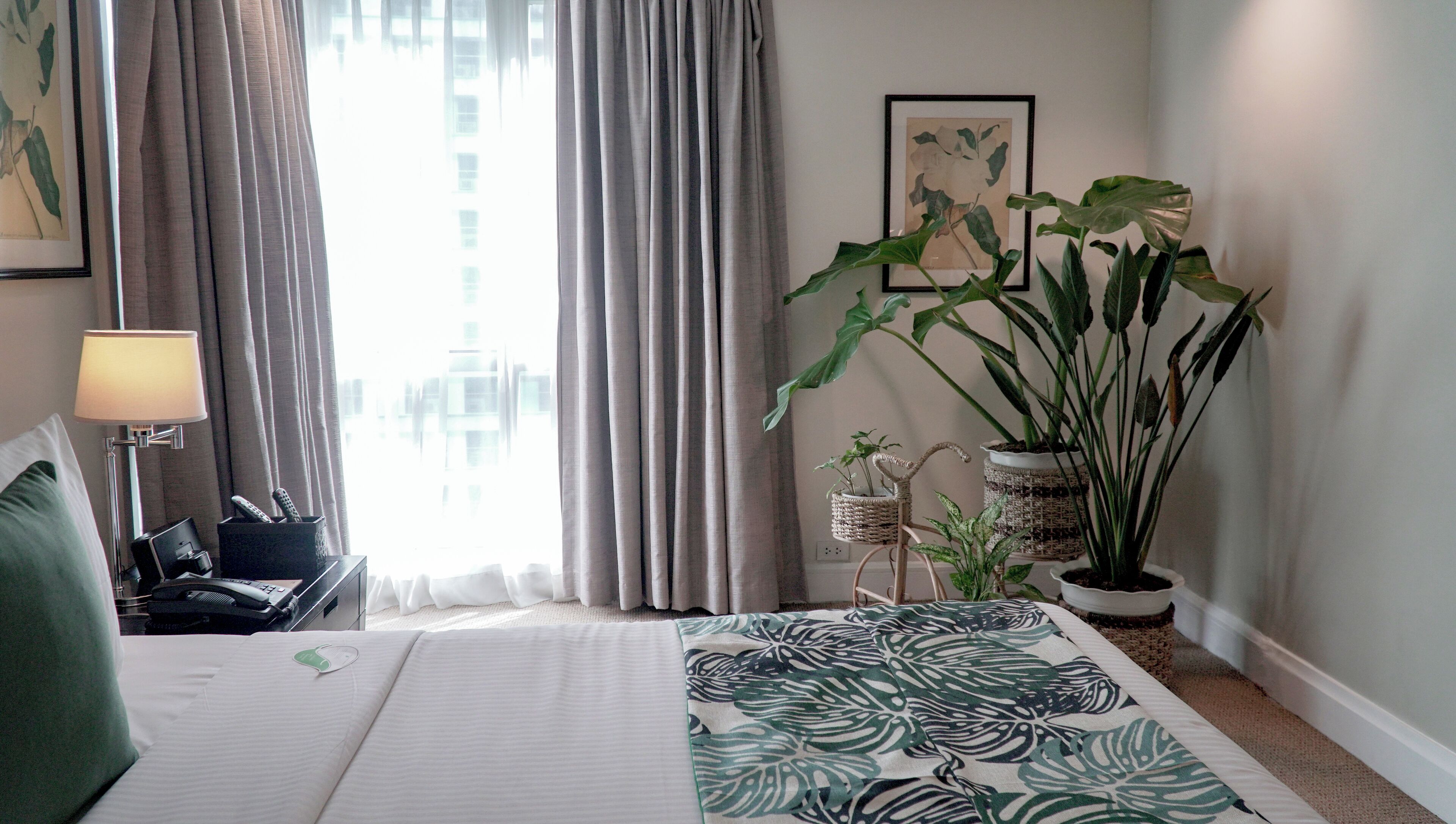 Una habitación de hotel con cama, lámpara de noche, un ventanal con cortinas y varias plantas en macetas.