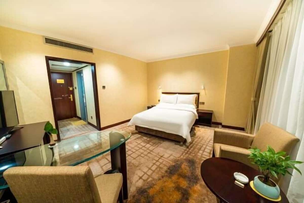 A hotel room with a bed, a glass table, a chair, a small table with a plant, and a view of the hallway.