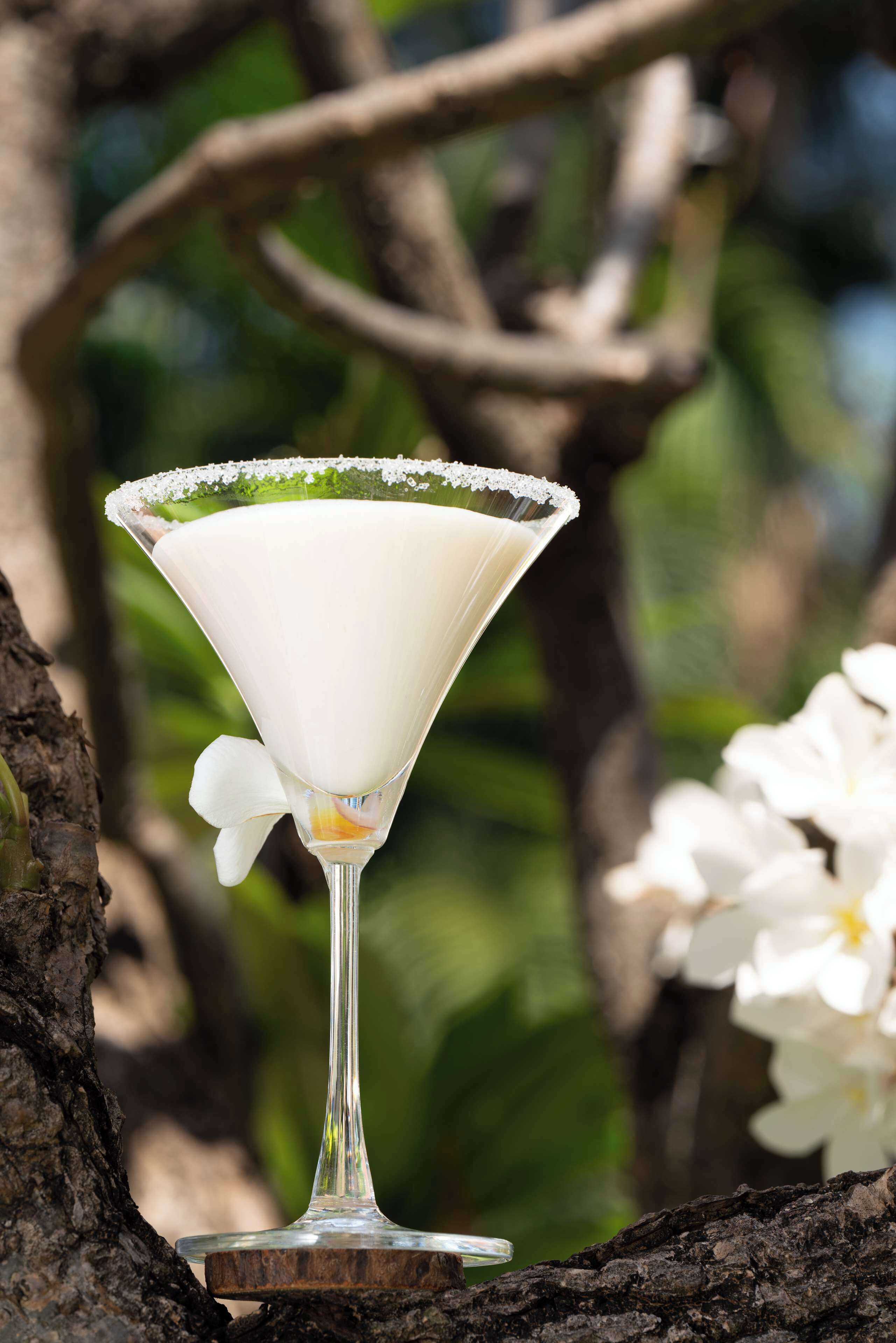 A martini glass with a salted rim, placed on a wooden surface with a blurred natural background.