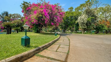 A park pathway with a lamppost and lush greenery.