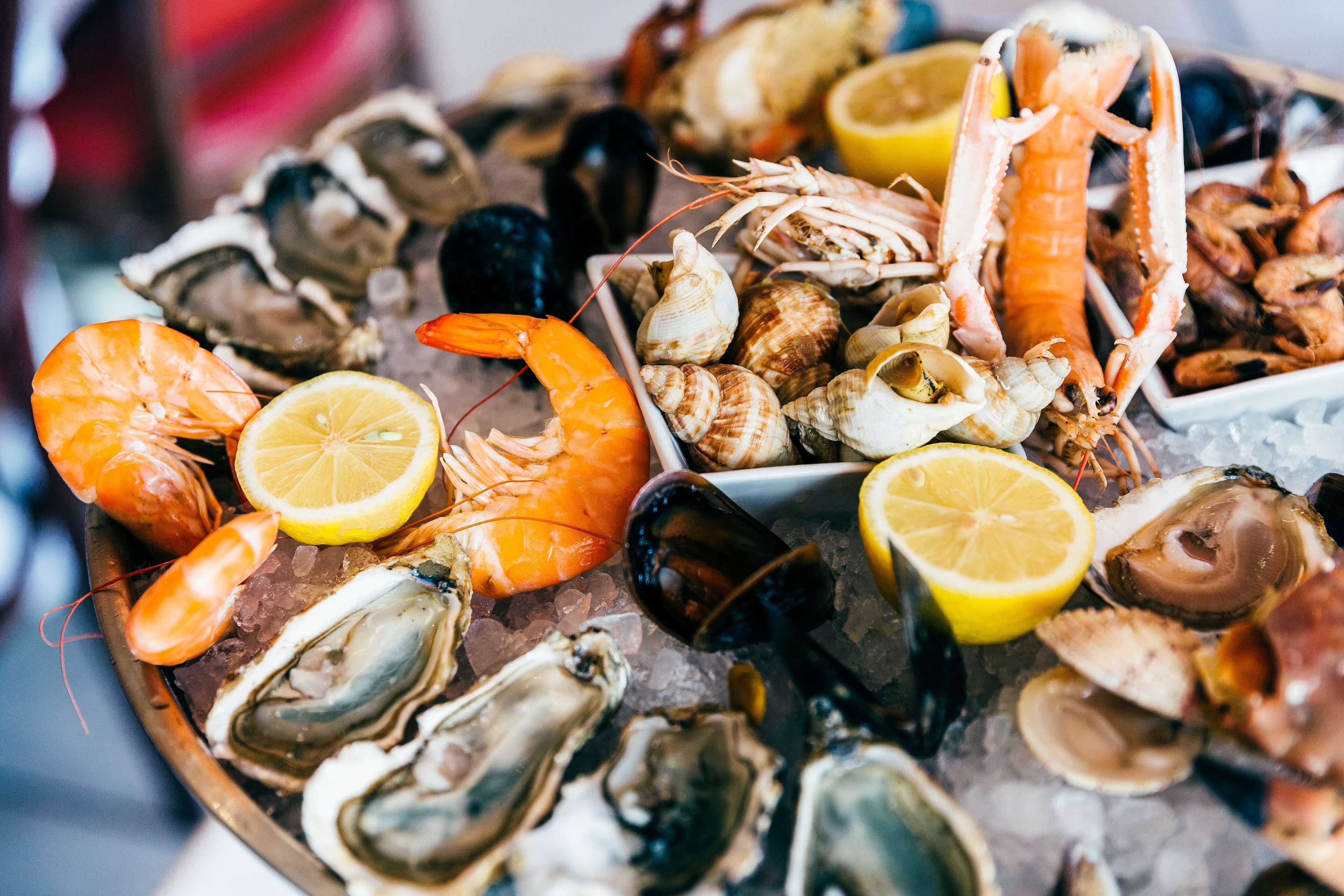 A variety of seafood including shrimp, oysters, and clams on a bed of ice.