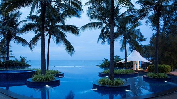 Ein Infinity-Pool mit Palmen und Blick auf den Ozean.