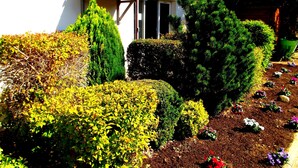 Un jardín bien cuidado con diversos arbustos y plantas florecientes, una casa con techo de tejas y un cielo despejado.