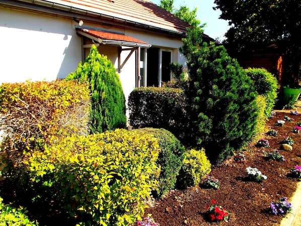 Un jardín bien cuidado con diversos arbustos y plantas florecientes, una casa con techo de tejas y un cielo despejado.