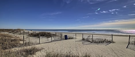 On the beach