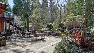 ADA Queen Pet-Friendly | Minibar, individually decorated, individually furnished